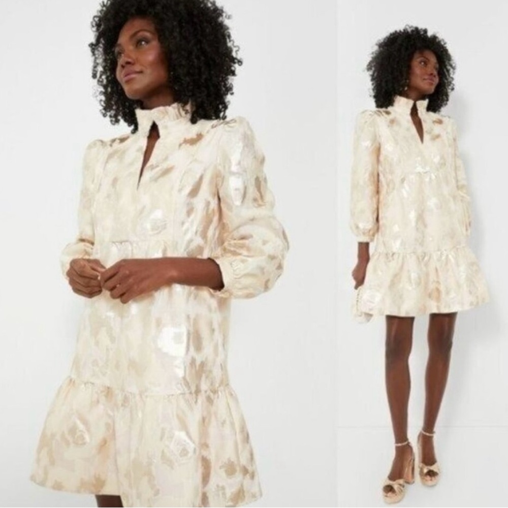 Tuckernuck NEW Champagne Fil Coupe Palmerston Formal Mini Dress Size XS